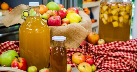 سرکه سیب خانگی + شرایط ویژه